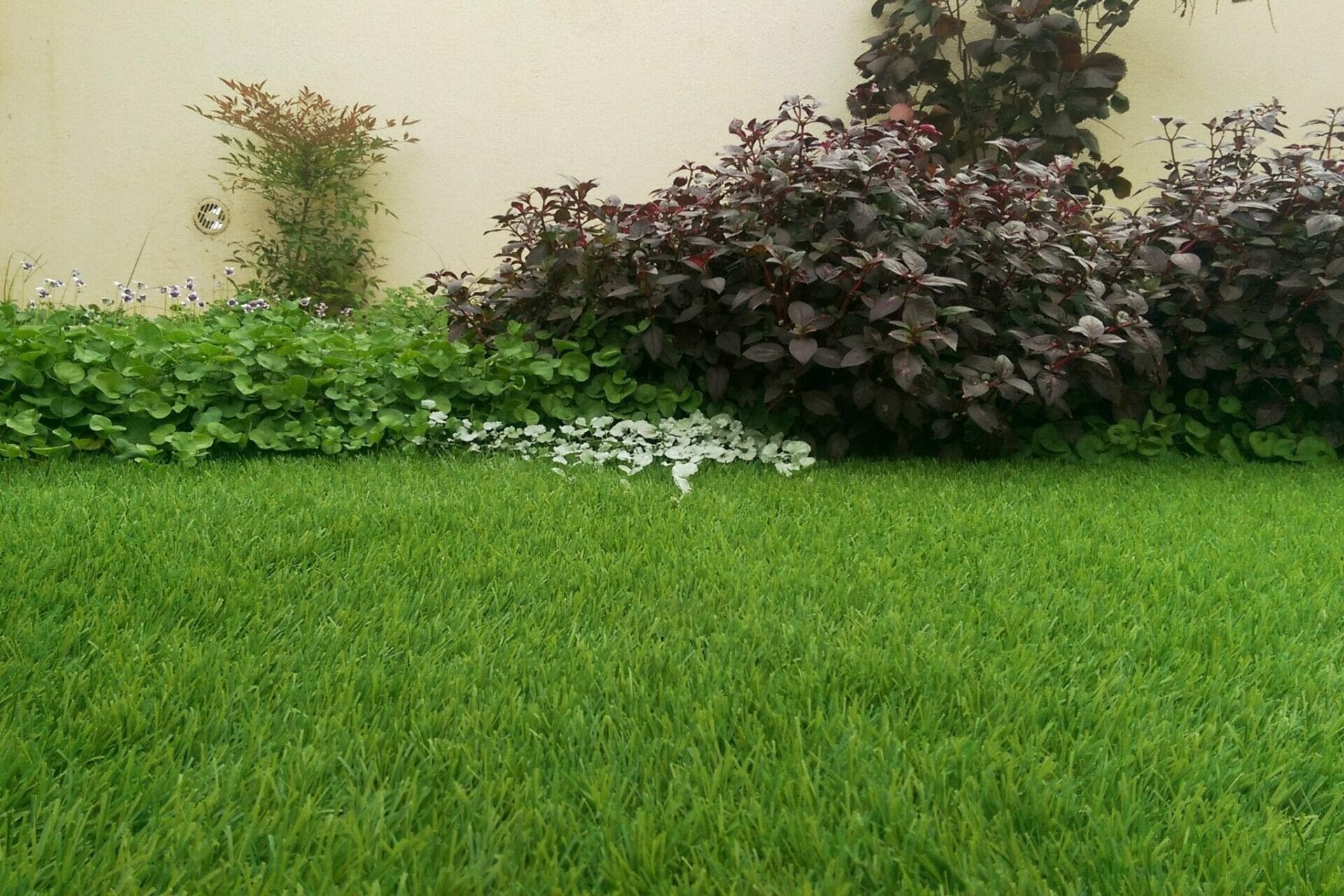דשא סינטטי לגינה מחיר