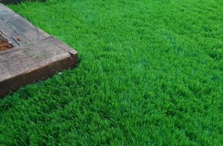 דשא סינטטי בקריית טבעון